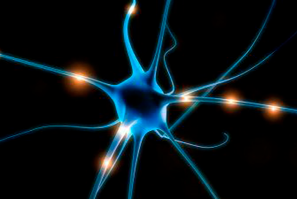 Рабочая научная сессия ученых и разработчиков Нейронет — «КОТЕЛ идей»