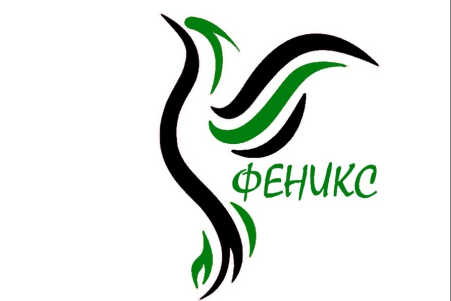 «Собака бывает кусачей только от жизни собачей…» (создание комфортной и безопасной среды в г. Новочеркасске)