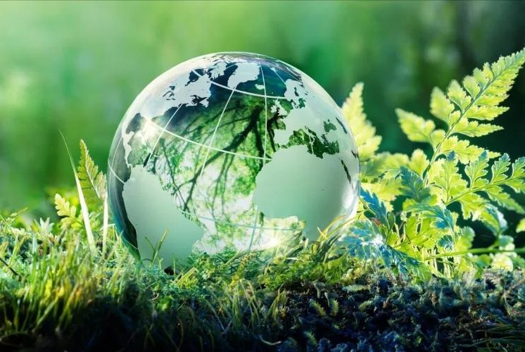 Тематические экологические конференции