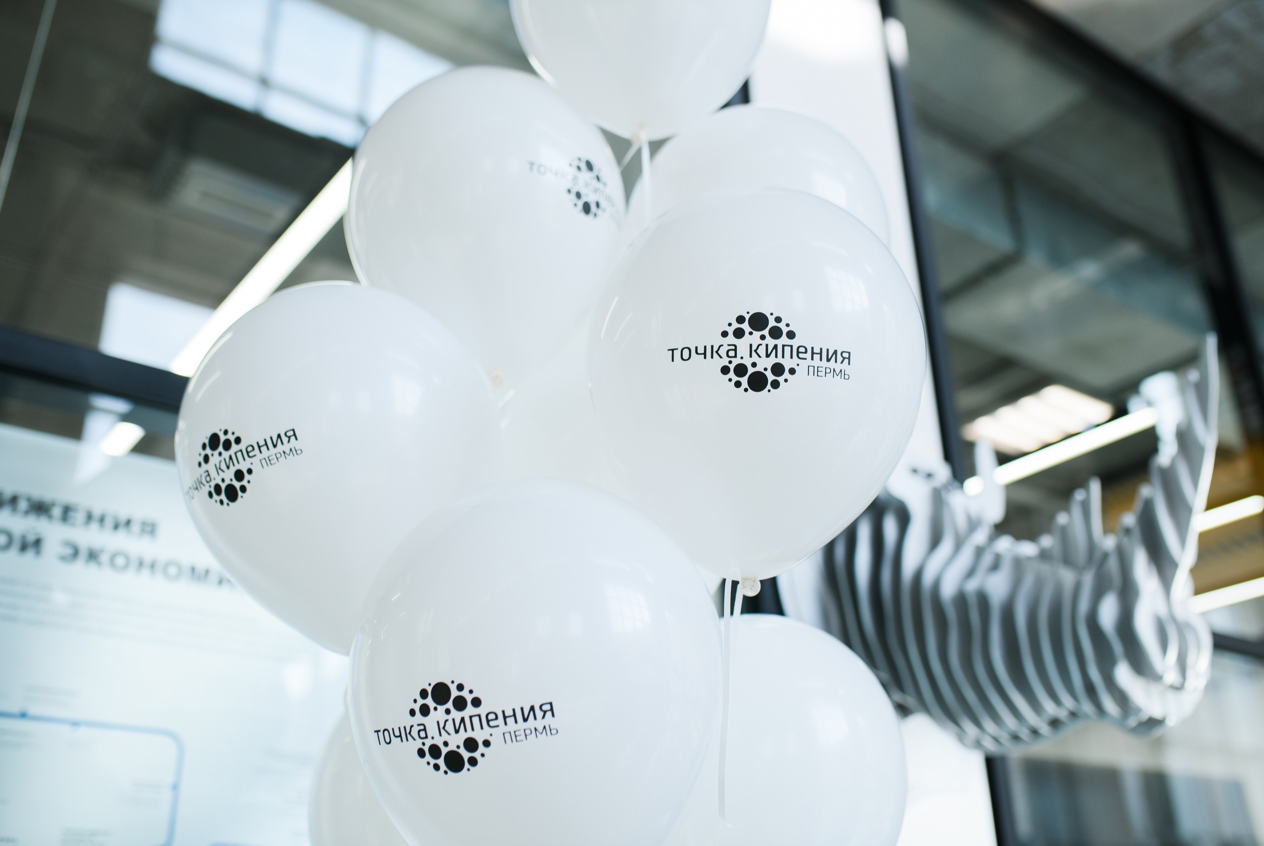 Встреча ядерной группы по разработке дорожной карты НТИ в Пермском крае