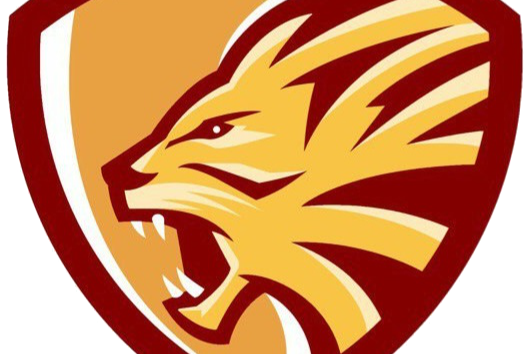 Нетворкинг для первокурсников СЗИУ ЮФ - 2 часть