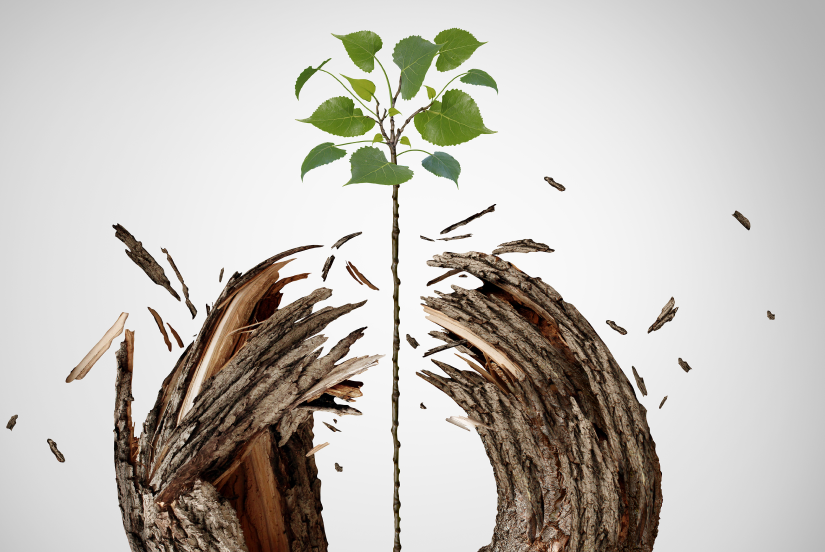 Комплексное решение по цифровизации высокопотенциальных сотрудников (HiPo) Тренинг