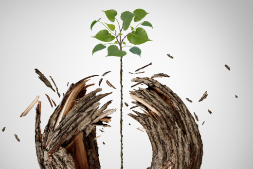 Комплексное решение по цифровизации высокопотенциальных с...