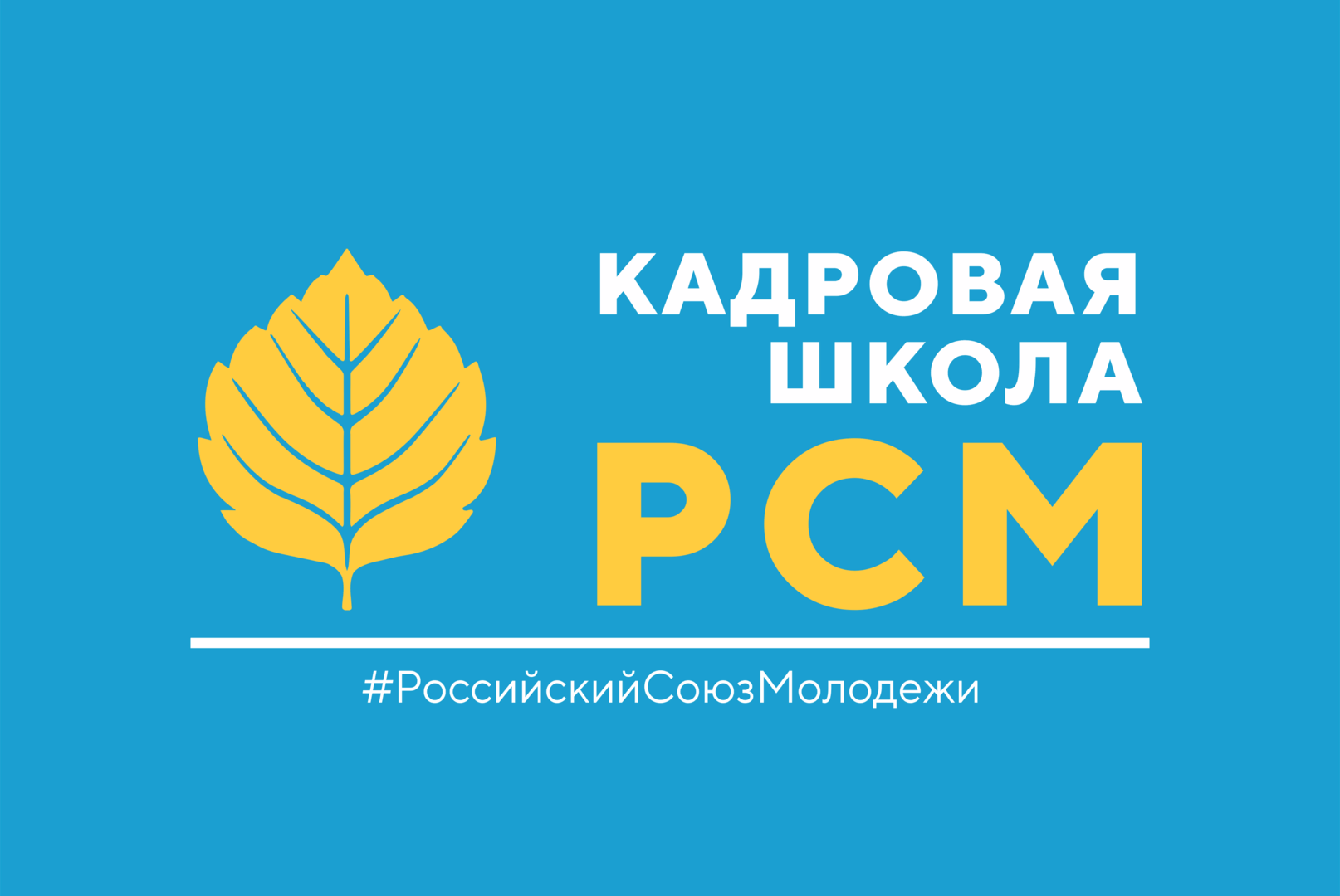 Кадровая школа РСМ 2.0