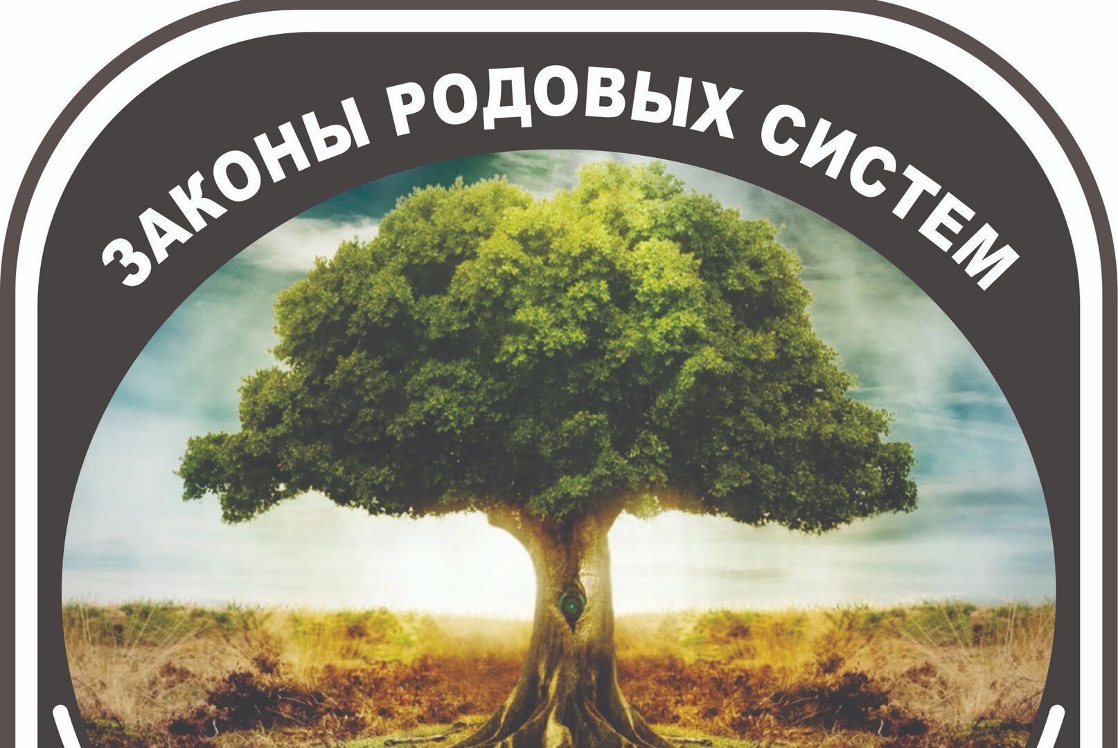 Тренинг для наставников "Законы родовых систем"