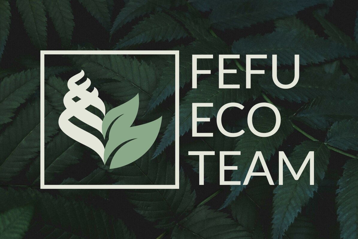 Первая общая встреча FEFU ECO TEAM
