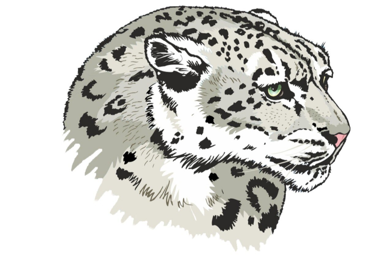 Выборы Президента Локального Комитета срока 22.23 в организации AIESEC