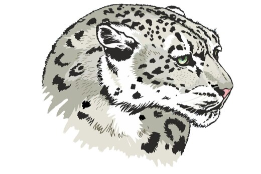 Выборы Президента Локального Комитета срока 22.23 в орган...