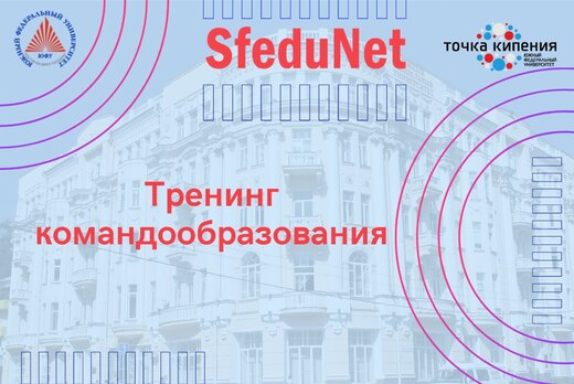 Sfedunet 4.0. Тренинг командообразования