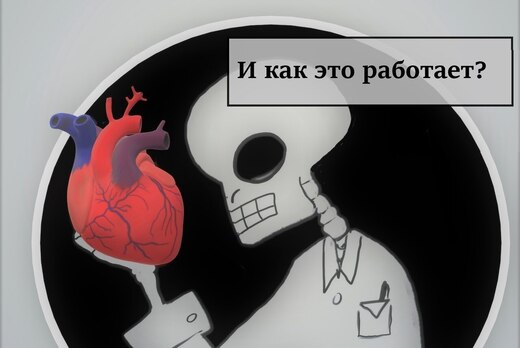 Биологический ликбез. Анатомия и физиология дыхательной с...