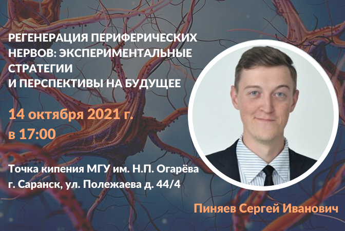 Вечевая лекция: Регенерация периферических нервов: экспериментальные стратегии и перспективы на будущее #навигатор2021