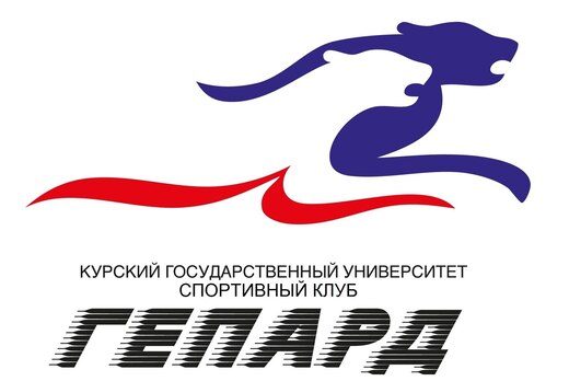 Презентация проекта Молодежный центр адаптивной физическо...