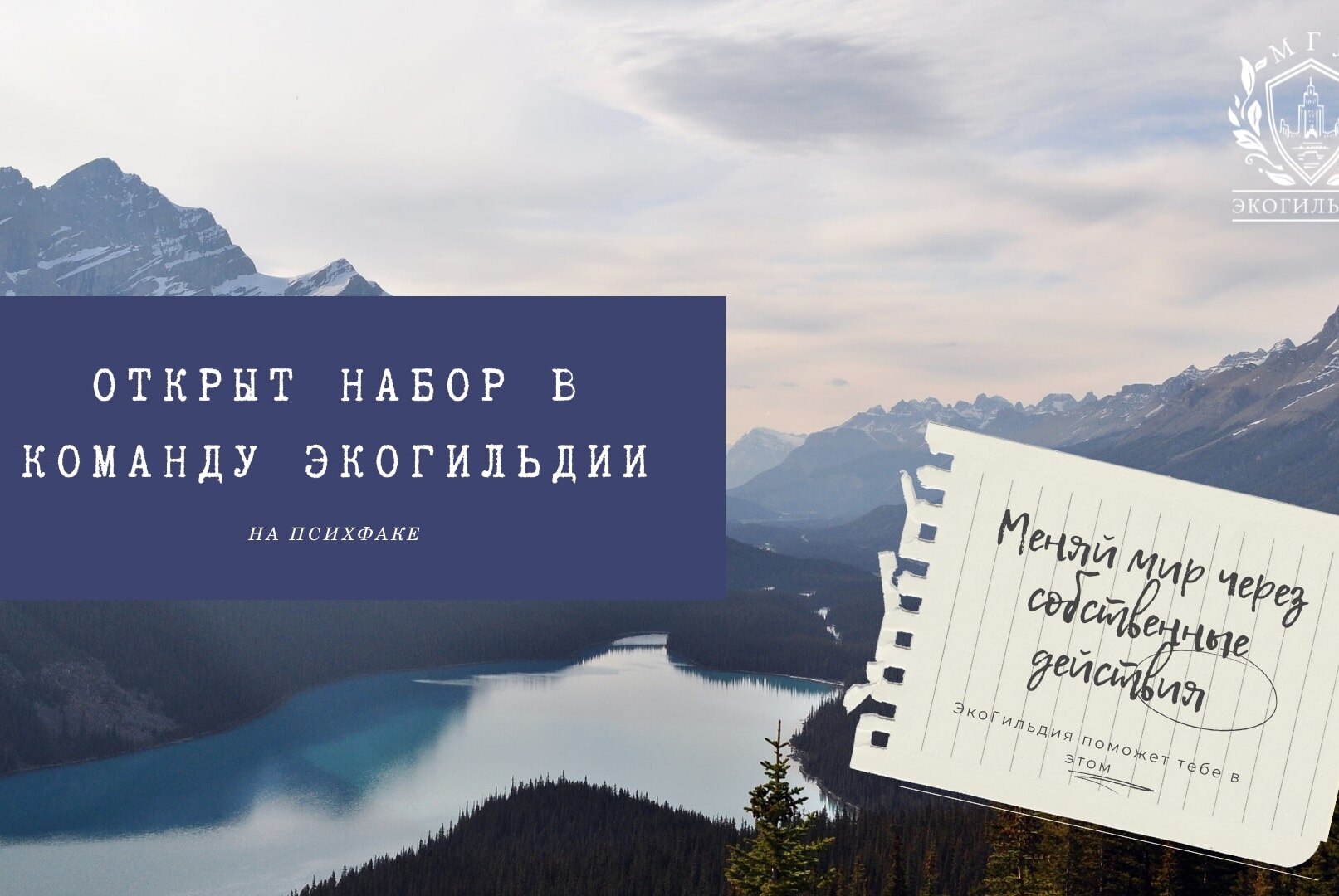 Встреча ЭкоГильдии МГУ