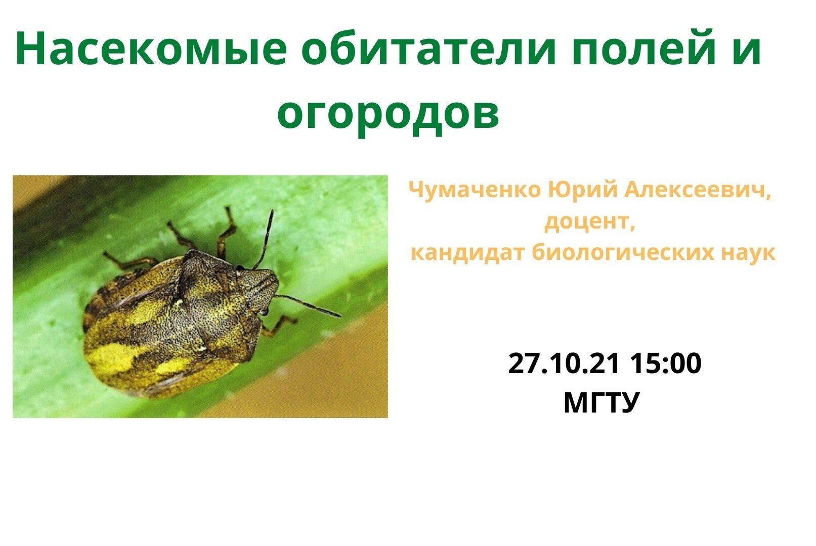 Насекомые обитатели полей и огородов