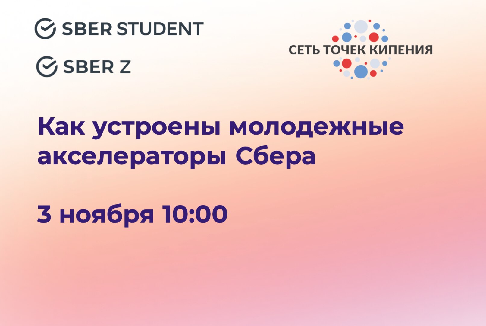 Как устроены молодежные акселераторы Сбера