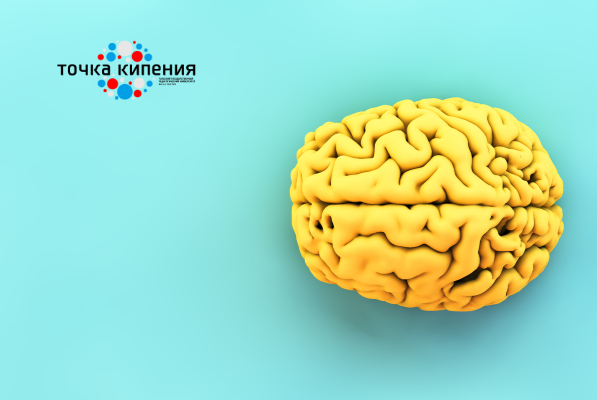 Лекция: В какие игры играет наш мозг - когнитивные искажения