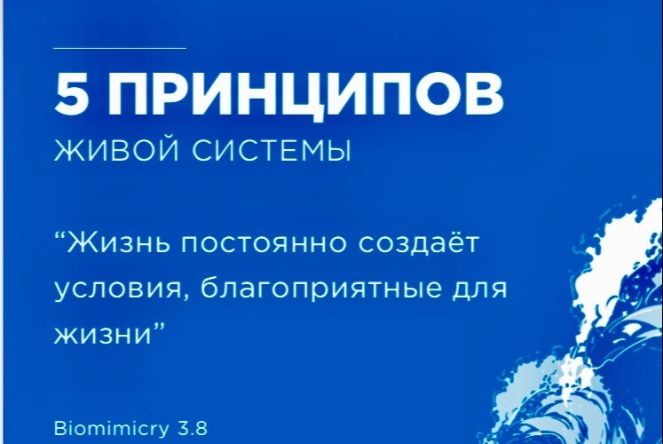 Стратегическая сессия для бизнеса "Компания моей мечты"