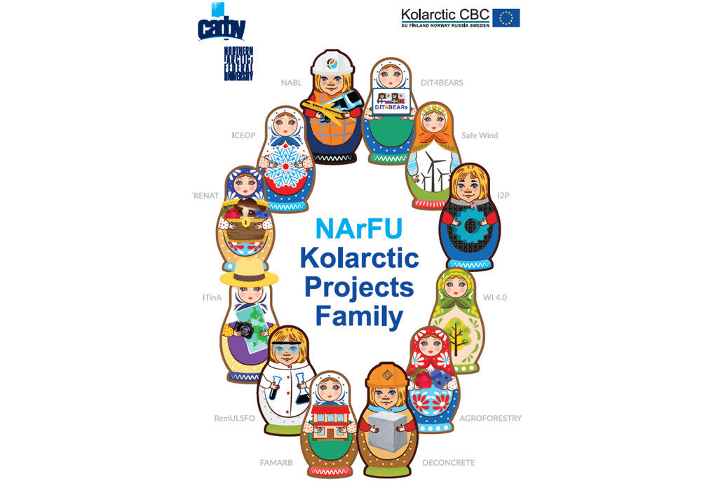 Kolarctic Day at NArFU: Лучшие практики САФУ по участию в международных проектах