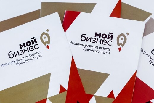 «Возможности создания в Приморском крае экосистемы, решаю...