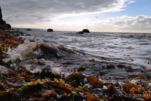 Международная мини-конференция с участием студентов США и...