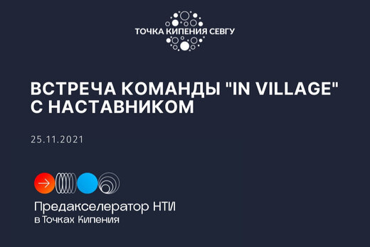 Встреча команды "IN VILLAGE" с наставником