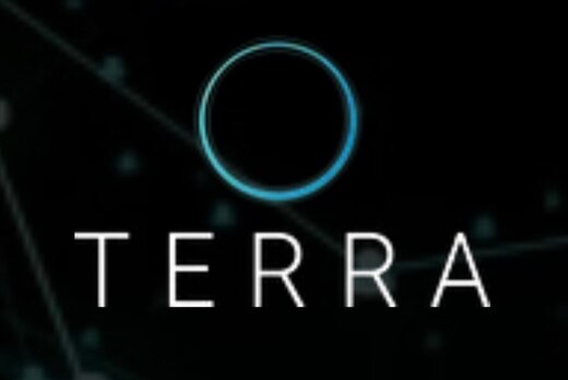 Встреча наставничества Терра. 19 поток. Роман Шевелев