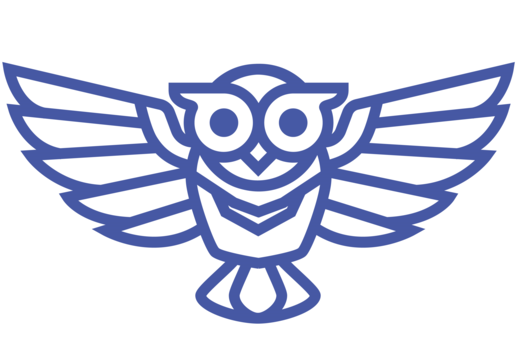 Тренировка по игре "Что? Где? Когда?"