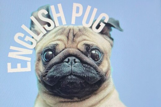 Вечер с онлайн-школой английского языка English.pug