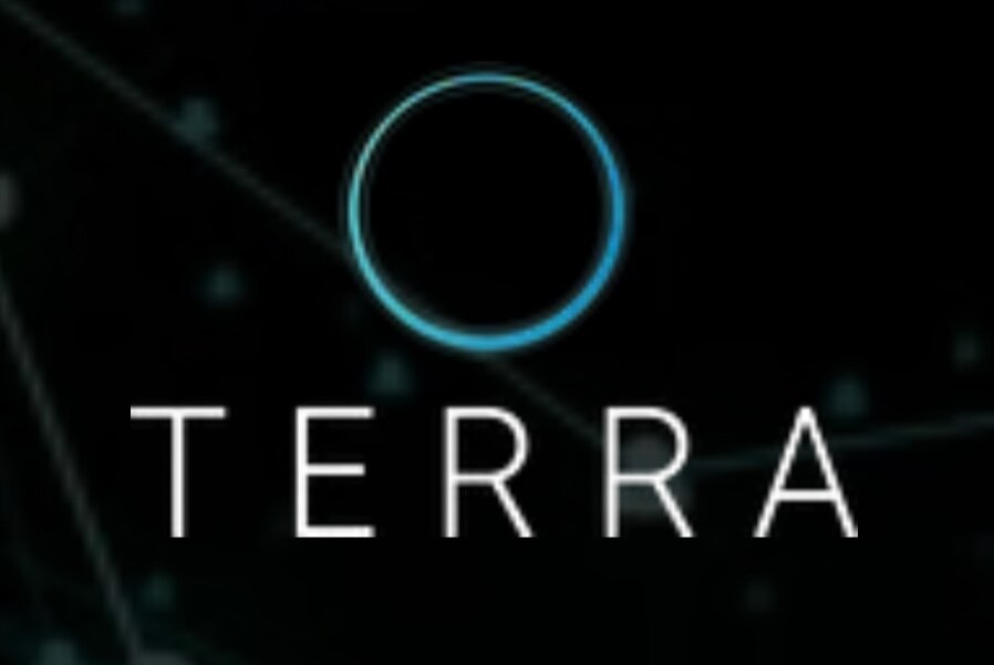 Встреча наставничества Терра. 19 поток. Роман Шевелев