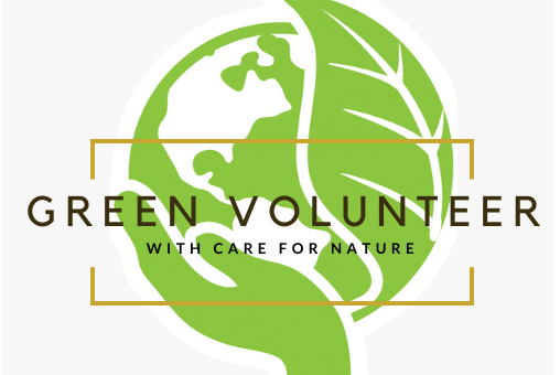 Эко-квиз «ЭКОЛОГИКА»