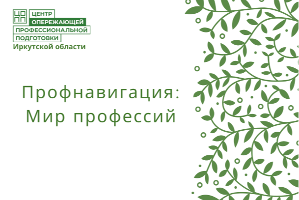 Профнавигация: мир профессий.