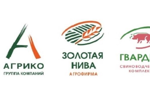 Молодые специалисты в АПК: их ожидания и реалии рынка тру...