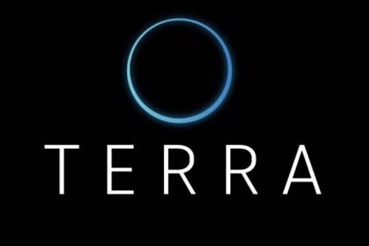 Наставничество клуба Terra