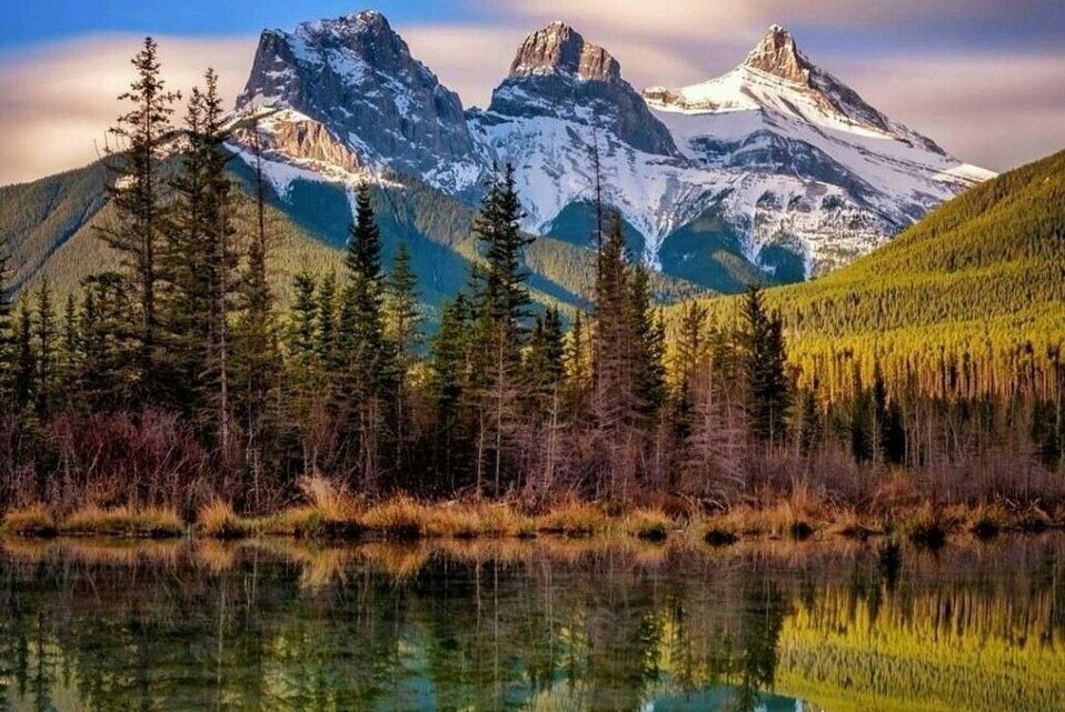 Лекция "Рюкзак без отходов".