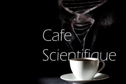 НАУЧНОЕ КАФЕ с профессором Никифоровой Л.Е. «Специфика ст...