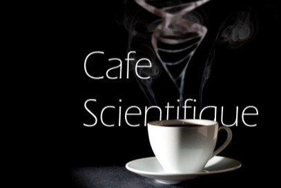 НАУЧНОЕ КАФЕ с профессором Никифоровой Л.Е. «Специфика стратегического подхода и заблуждения по его применению»