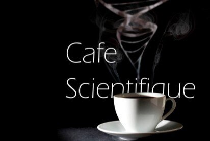 НАУЧНОЕ КАФЕ с профессором Никифоровой Л.Е. «Специфика стратегического подхода и заблуждения по его применению»