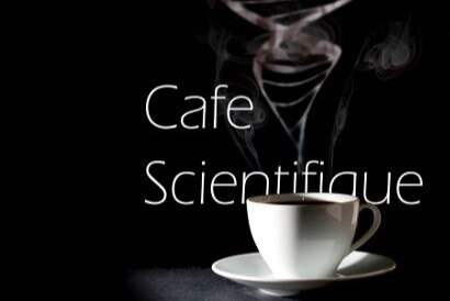 НАУЧНОЕ КАФЕ с профессором Никифоровой Л.Е. «Специфика стратегического подхода и заблуждения по его применению»