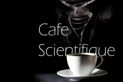 НАУЧНОЕ КАФЕ с профессором Никифоровой Л.Е. «Специфика стратегического подхода и заблуждения по его применению»