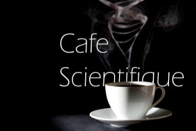 НАУЧНОЕ КАФЕ с профессором Никифоровой Л.Е. «Специфика стратегического подхода и заблуждения по его применению»