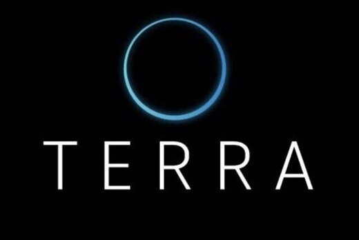 TERRA. Поток 20. Наставничество Игоря Кондаурова.