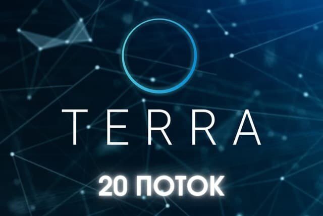 Наставничество Terra