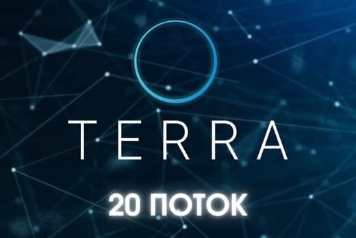 Наставничество Terra