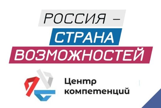 Использование диагностики центра компетенций РСВ как инст...