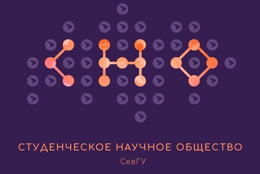 Будущее СНО СевГУ и интересы его участников