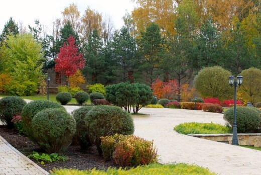 Законы цветоведения в ландшафтной архитектуре