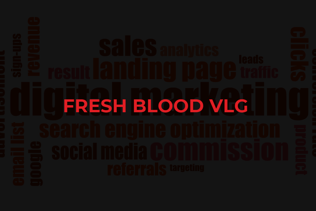 Fresh blood Волгоградского интернет-маркетинга