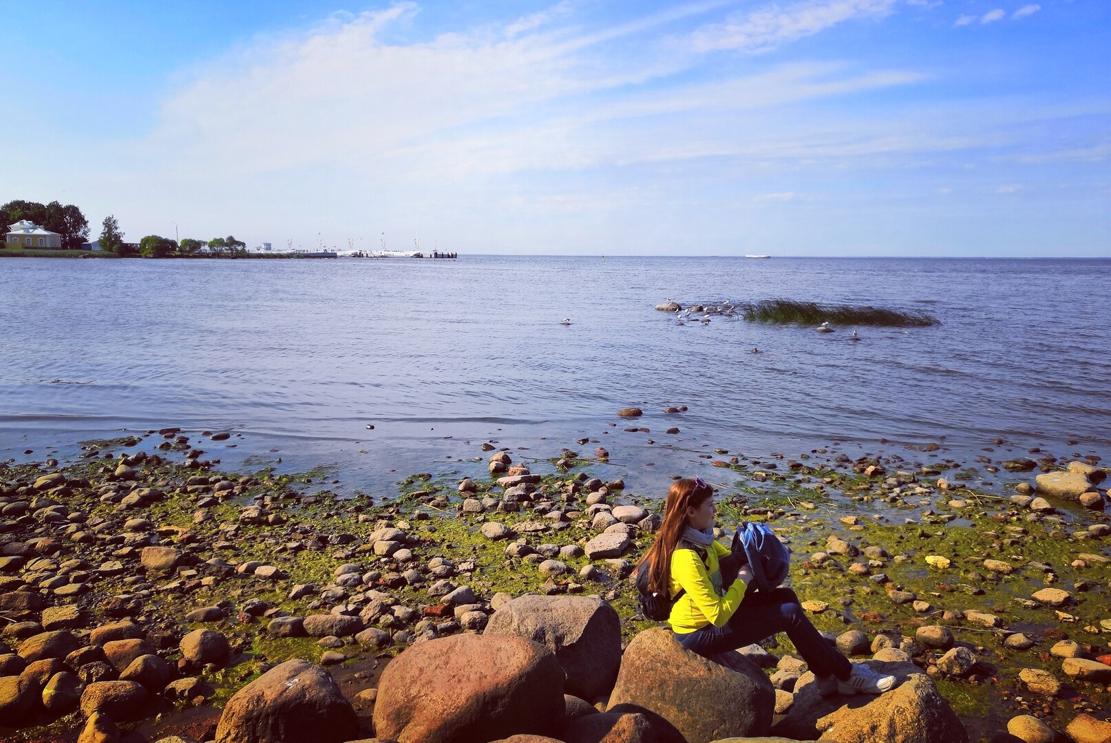 Организация эффективного импортозамещения через реверсивный инжиниринг