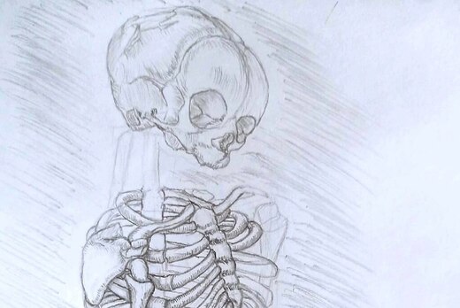 Лекторий "История анатомической иллюстрации: от истоков д...