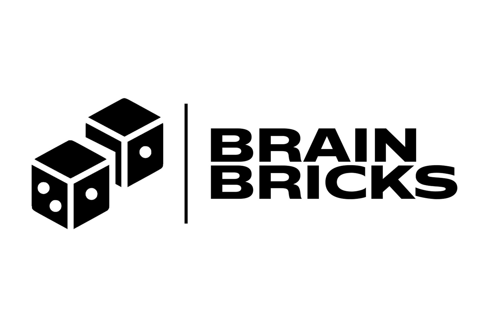 Игротека "Brain Bricks"